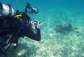 Volunteer Belize Volunteer Belize