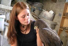 Volunteer Veterinaria & volontariato <br /> con gli animali Volunteer Veterinaria & volontariato <br /> con gli animali