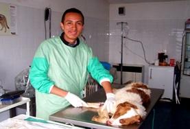 Volunteer Veterinaria & volontariato <br /> con gli animali Volunteer Veterinaria & volontariato <br /> con gli animali