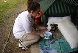 Volunteer Belize Volunteer Belize