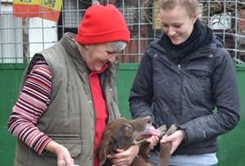 Volunteer Veterinaria & volontariato <br /> con gli animali Volunteer Veterinaria & volontariato <br /> con gli animali
