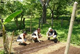 Volunteer Volontariato ambientale Volunteer Volontariato ambientale