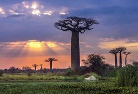 Madagascar